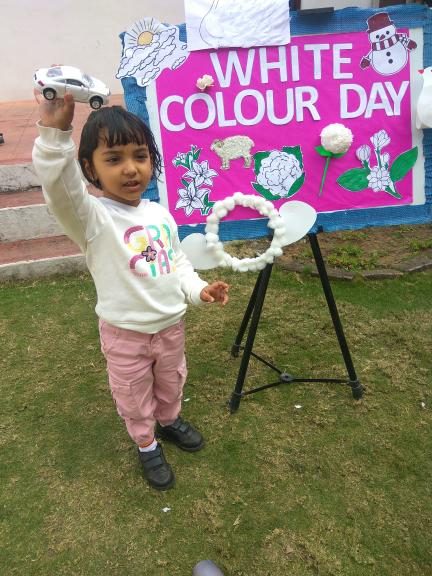 Colour Day 1